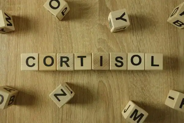The Hidden Connection: How Stress Shapes Your Fitness and Body Composition 2 Image saying "Cortisol" and how stress Bury St Edmunds impacts your wellbeing and bodies shape